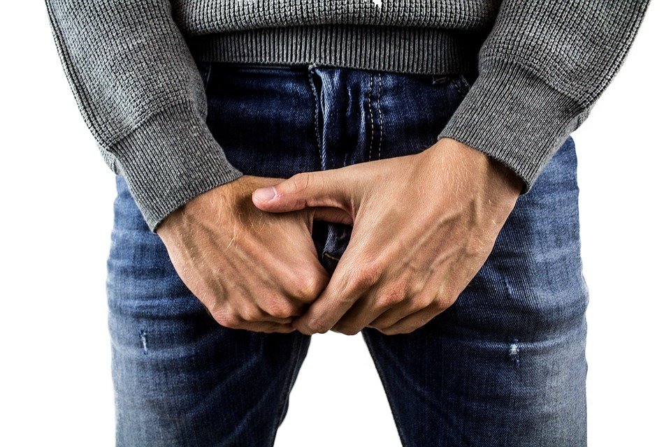 penis -manhood